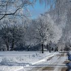 Sensation - Schnee in der Lüneburger Heide I