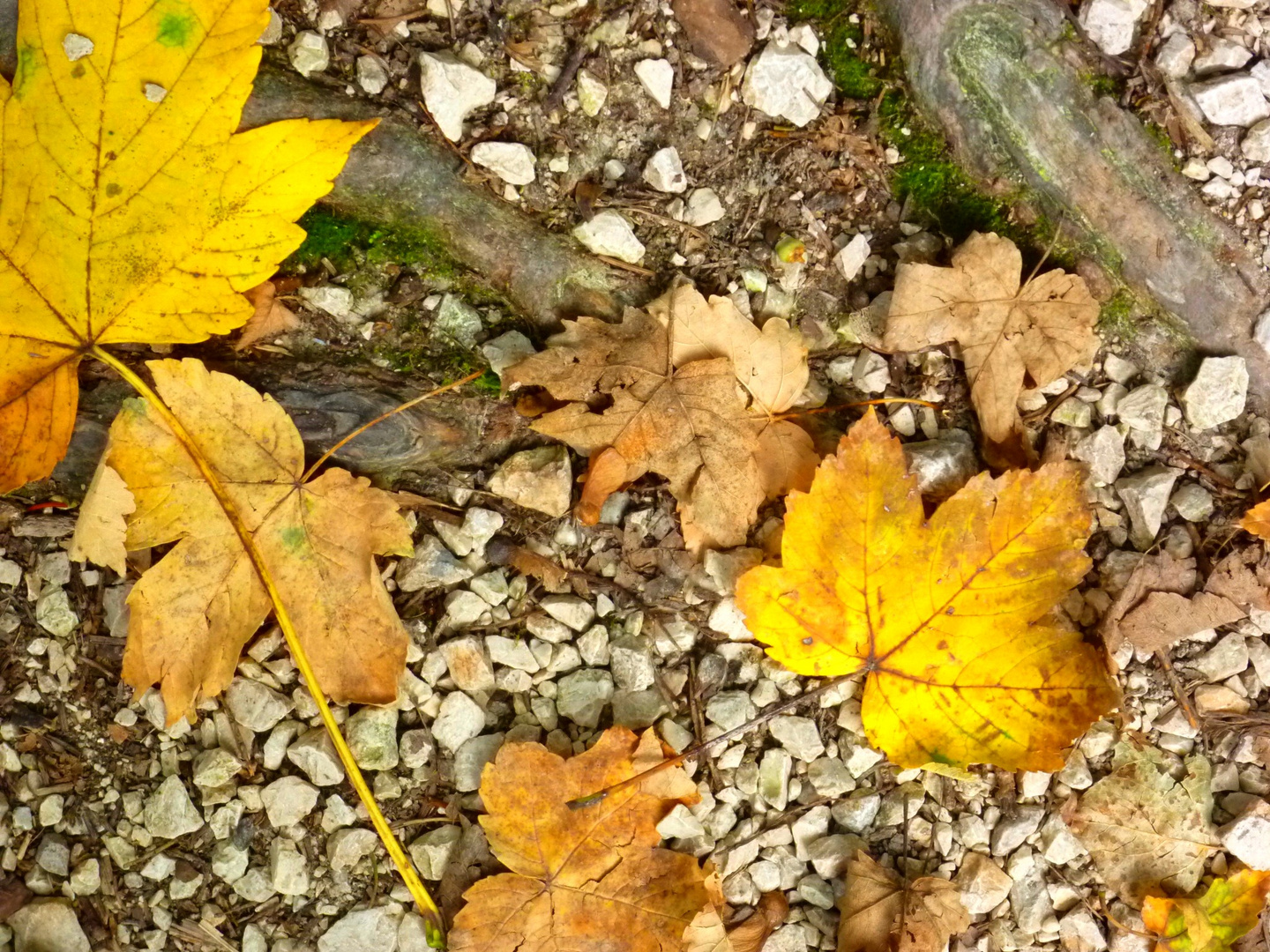 Sensazioni d'autunno