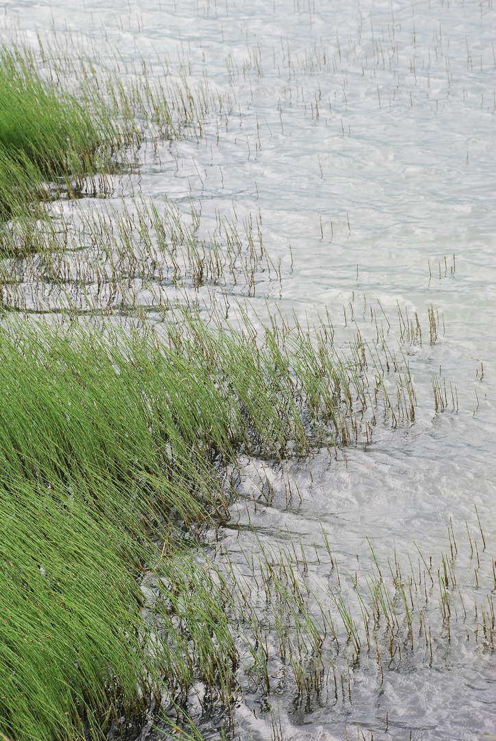 Sense and sensibility in der Wasserwelt