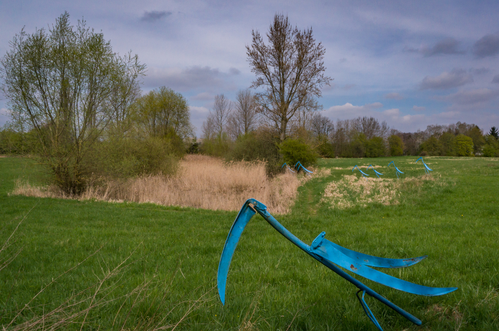 Sensenvögel - Grasdorf bei Hannover