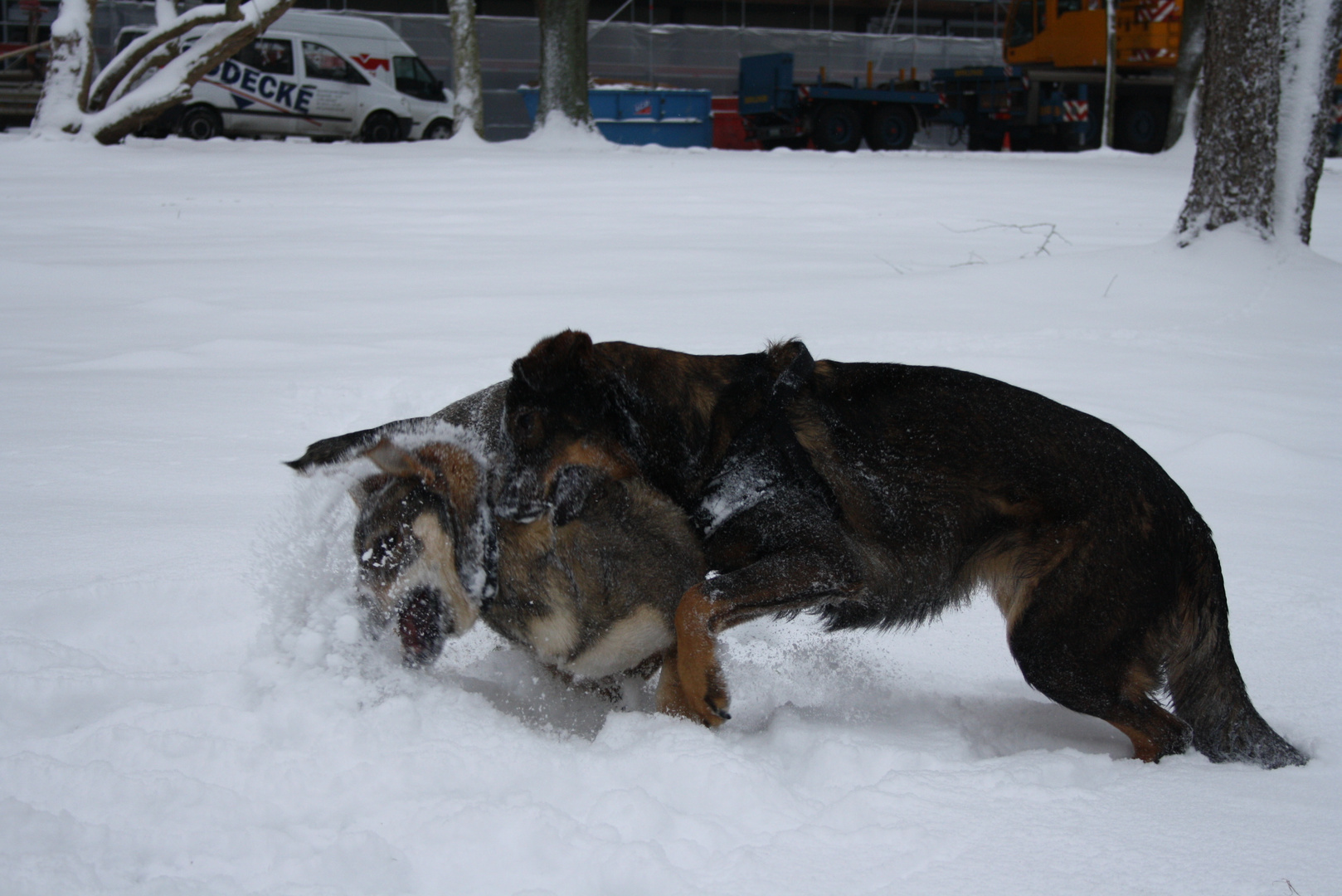 Senta im schneewahn ;) Teil 2