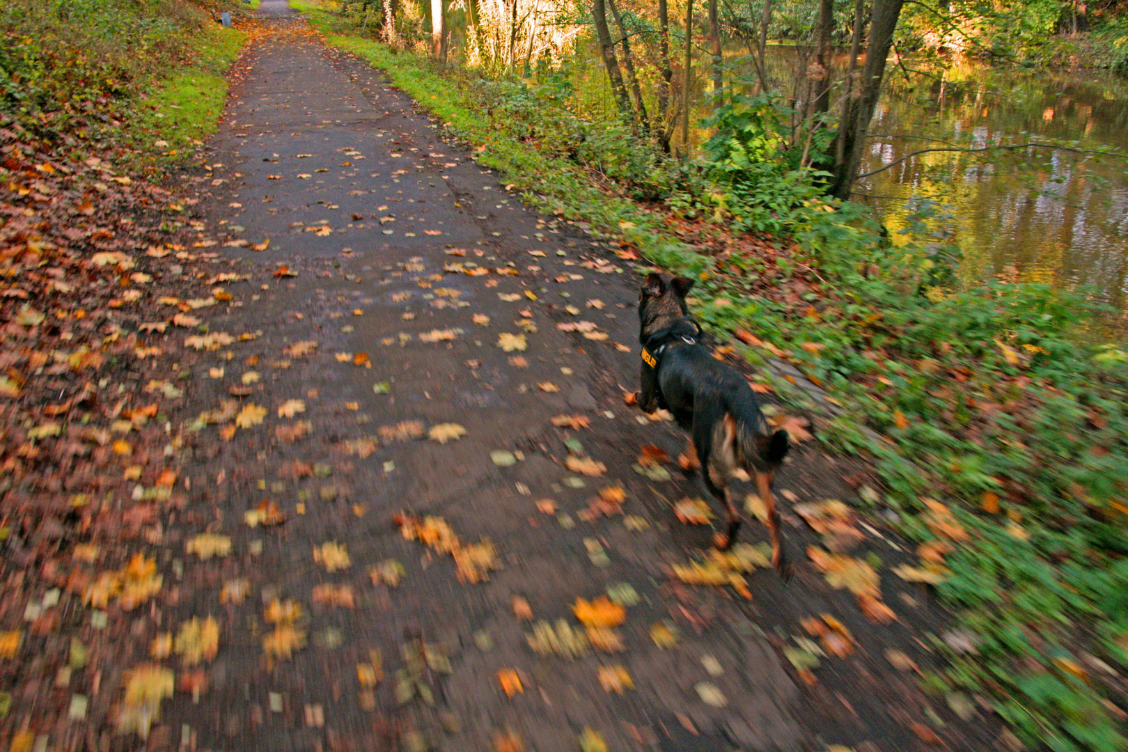 Sentas Herbstsprint