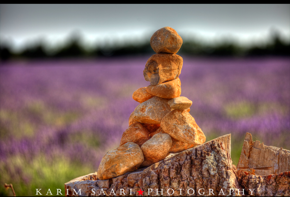 Senteurs de Provence, les lavandes de Valensole