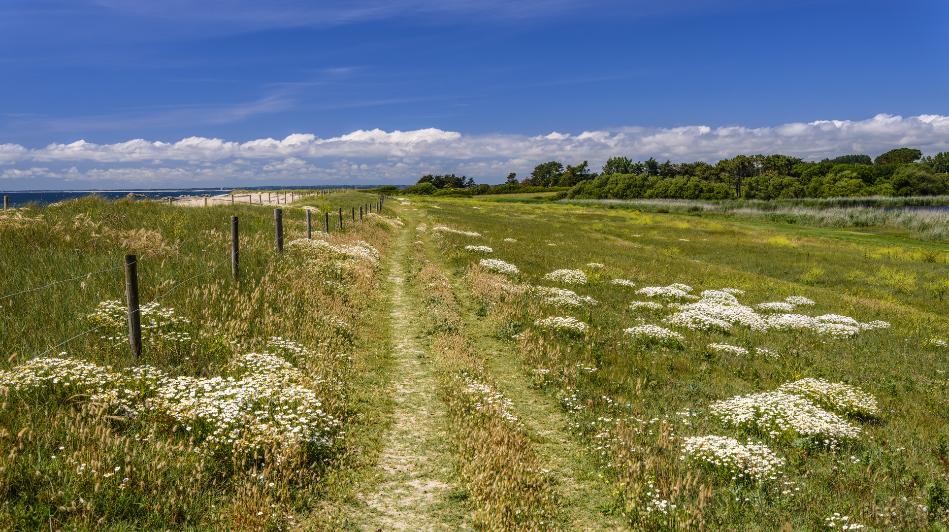 Sentier Côtier 1, Trévignon, Bretagne, France