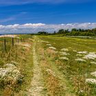 Sentier Côtier 1, Trévignon, Bretagne, France