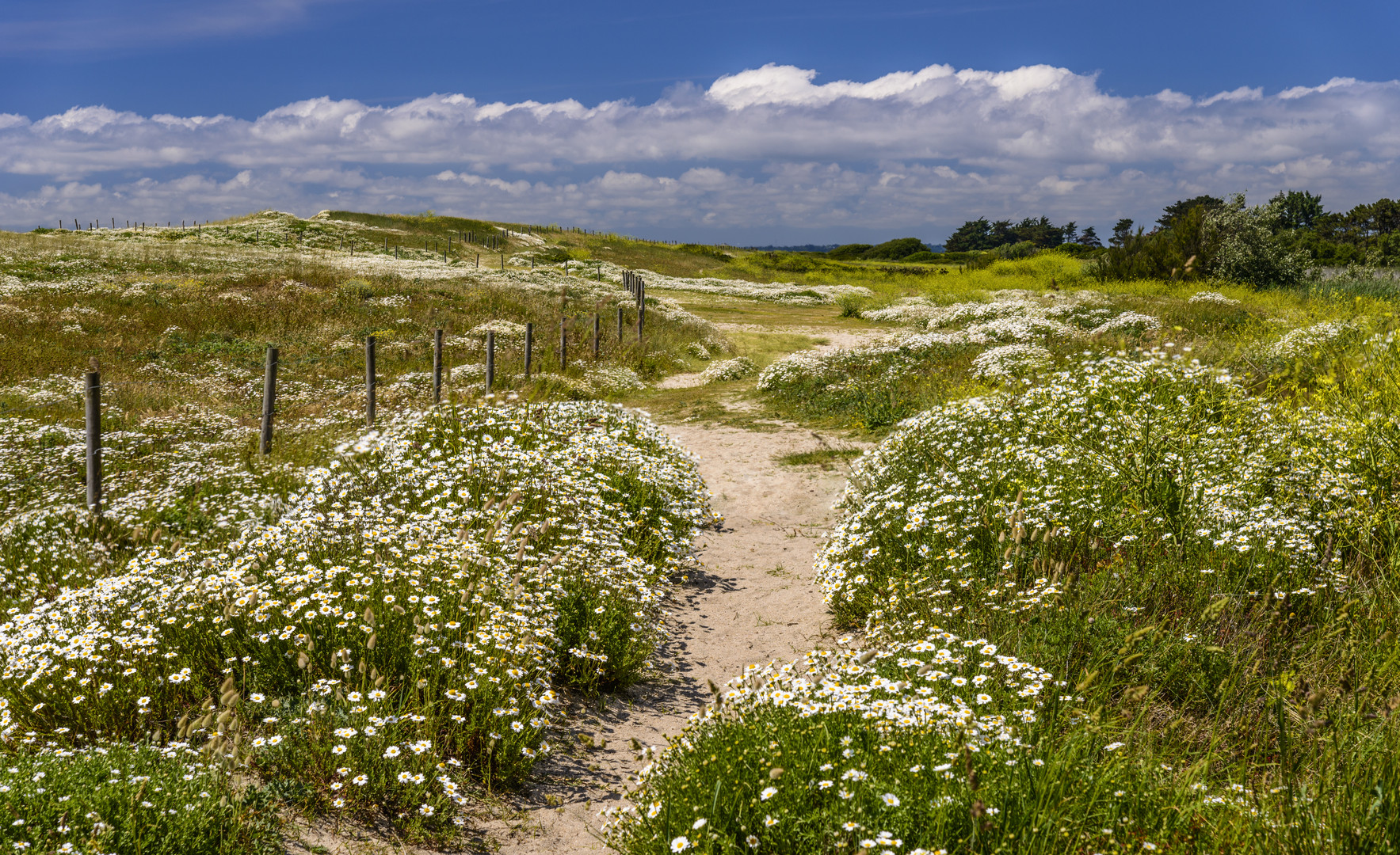  Sentier Côtier 2, Trévignon, Bretagne, France