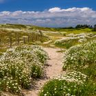  Sentier Côtier 2, Trévignon, Bretagne, France