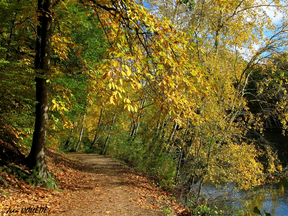 Sentier d'automne