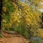 Sentier d'automne