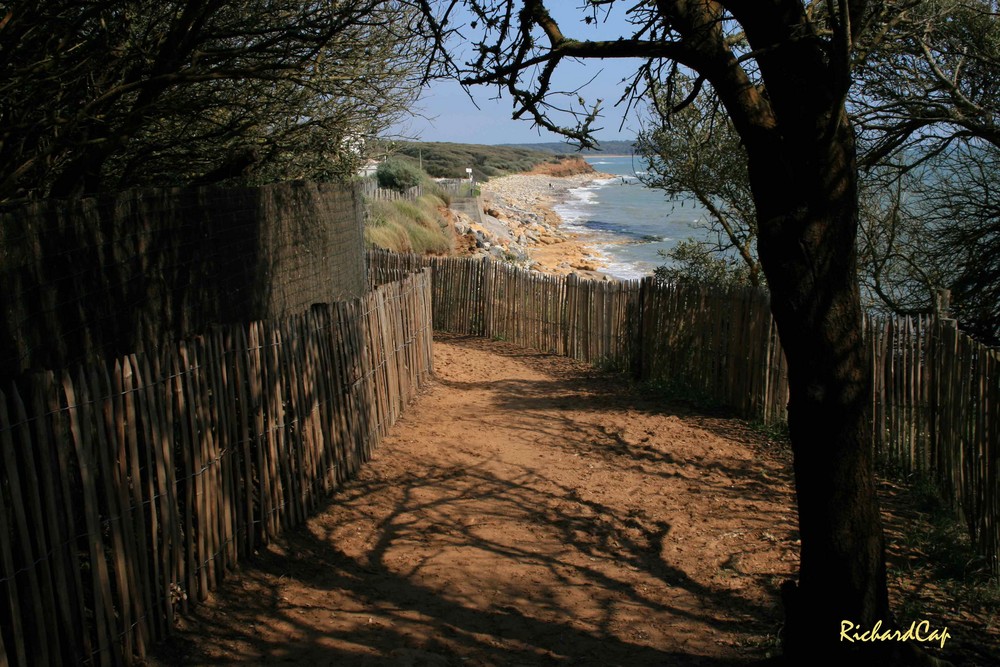 Sentier de bord de mer