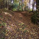 SENTIER DE FEUILLES