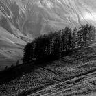 Sentier de montagne