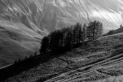 Sentier de montagne