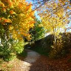 Sentier de randonnée à Asiago