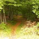 Sentier De Randonnée Piégut