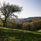 sentier des crêtes