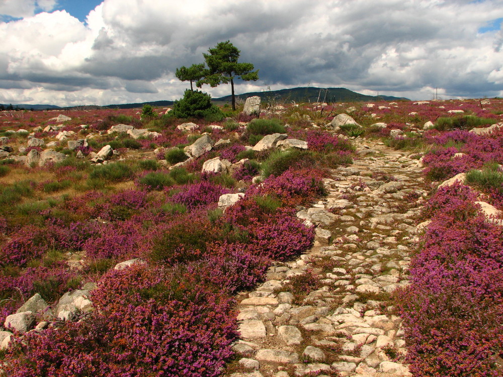 Sentier des Ritournelles, proche de "La Garde Guérin"