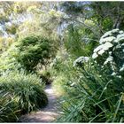 Sentier du bord de mer