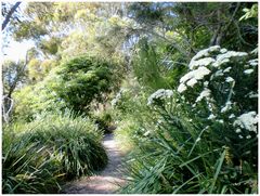 Sentier du bord de mer