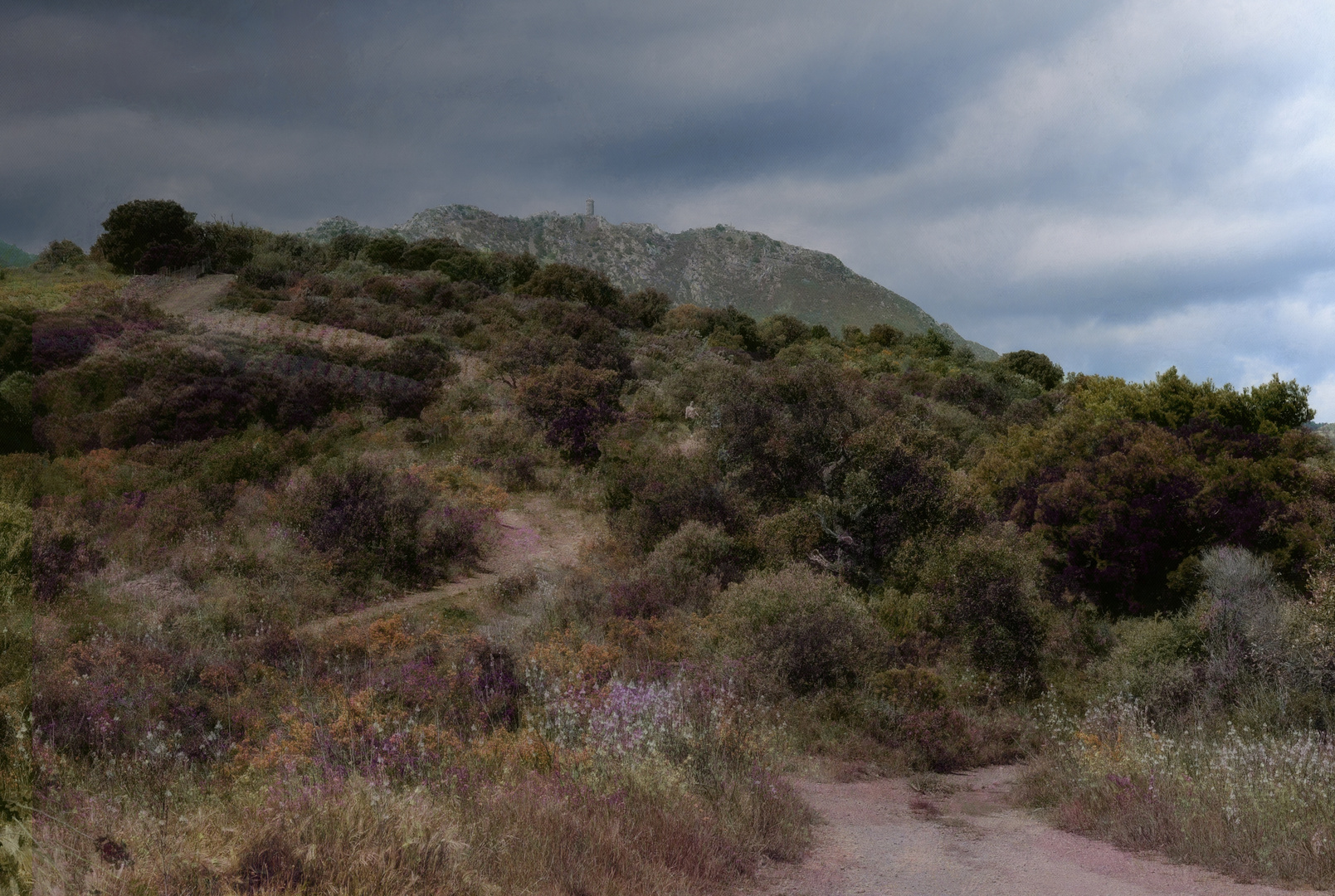 Sentier du maquis