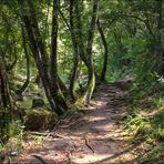 Sentier fraîcheur et découvertes 