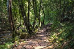 Sentier fraîcheur et découvertes 