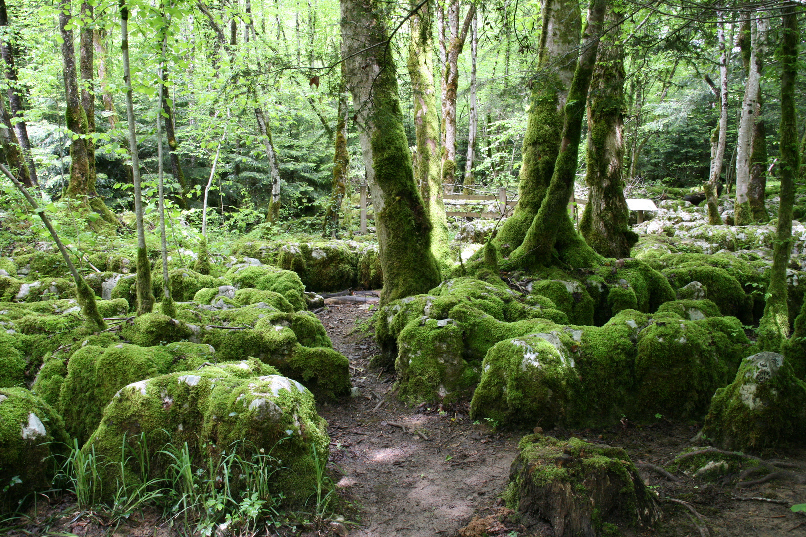 Sentier Karstique 2