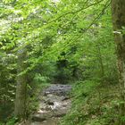 Sentier mystérieux