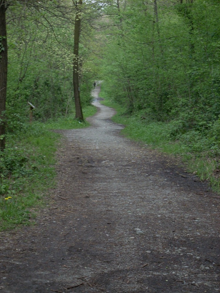 SENTIER NEL VERDE