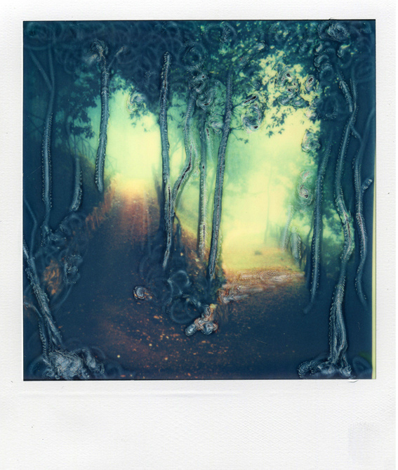 sentiero - gianni grattacaso, polaroid manipulations