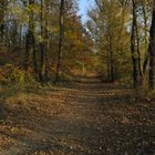 Sentiero in Autunno