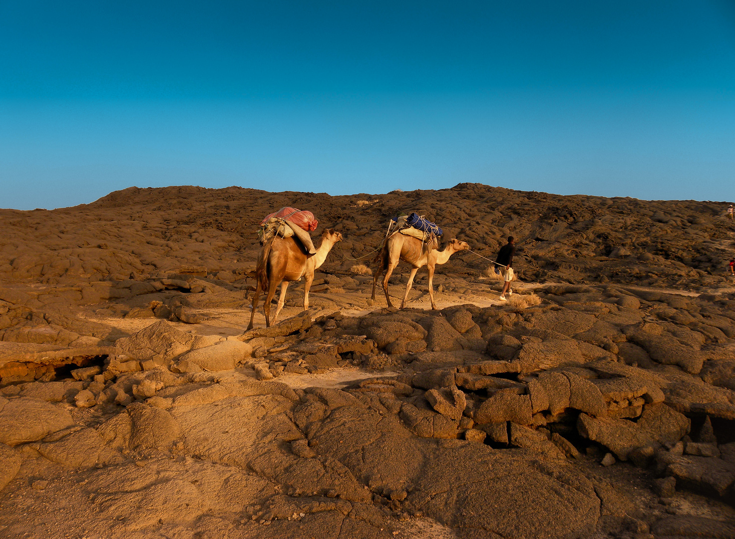 sentiero nel deserto