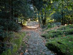 Sentiero nel parco