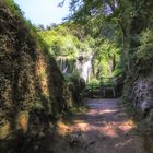 Sentiero per la cascata