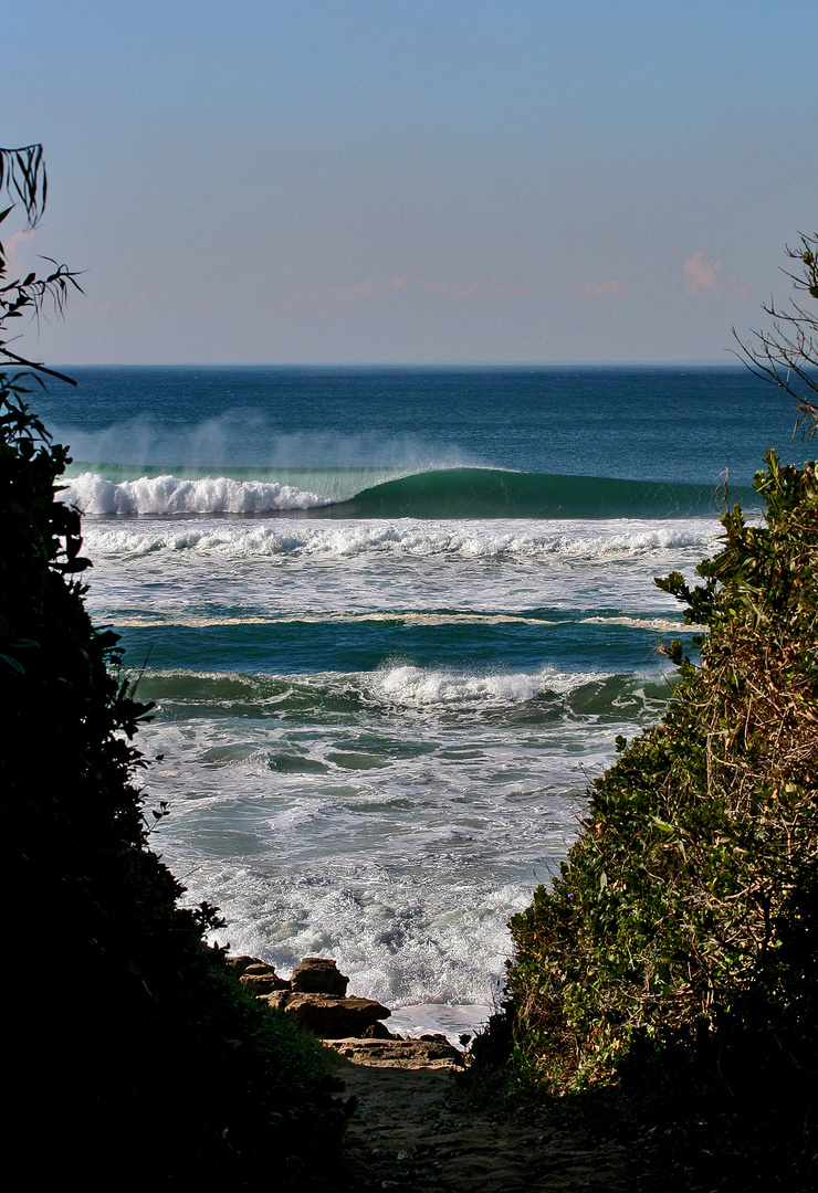 Sentiero per l'oceano