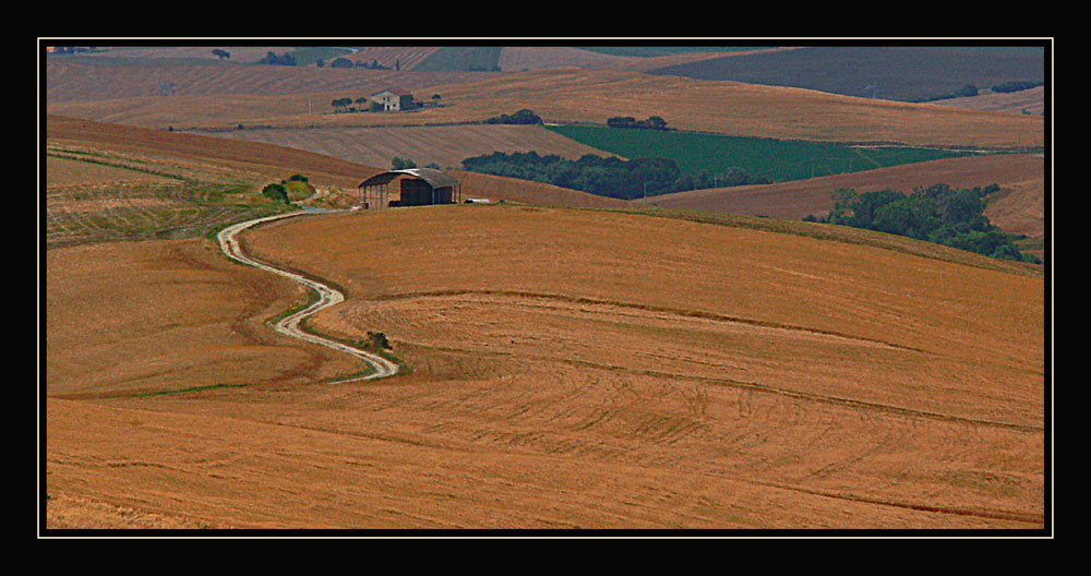 Sentiero serpente