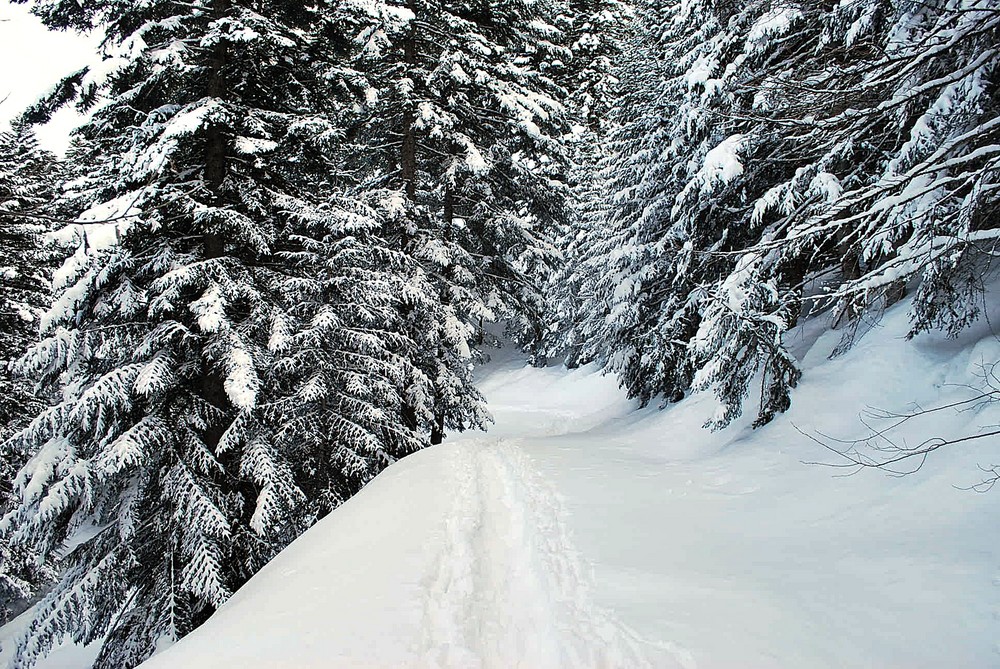 sentiero...innevato