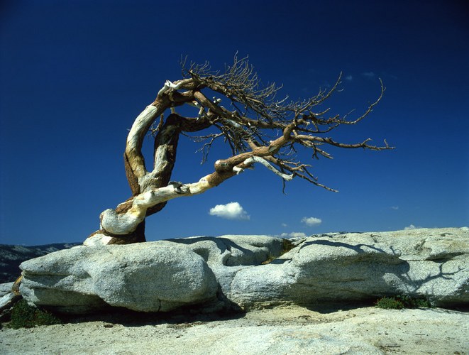 Sentinel Dome