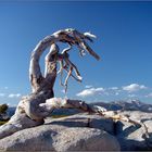 Sentinel Dome