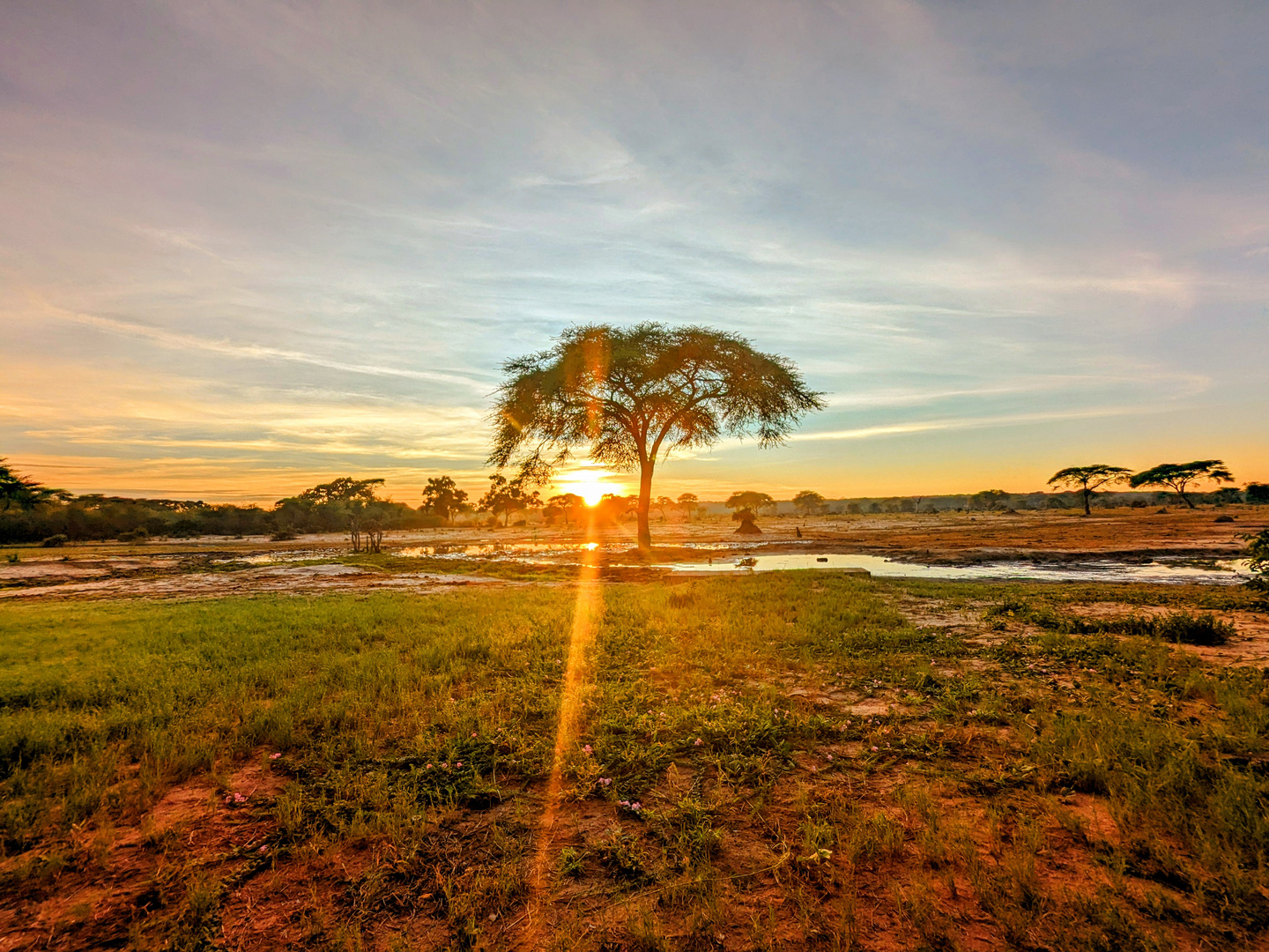 Senyati Safari Camp 