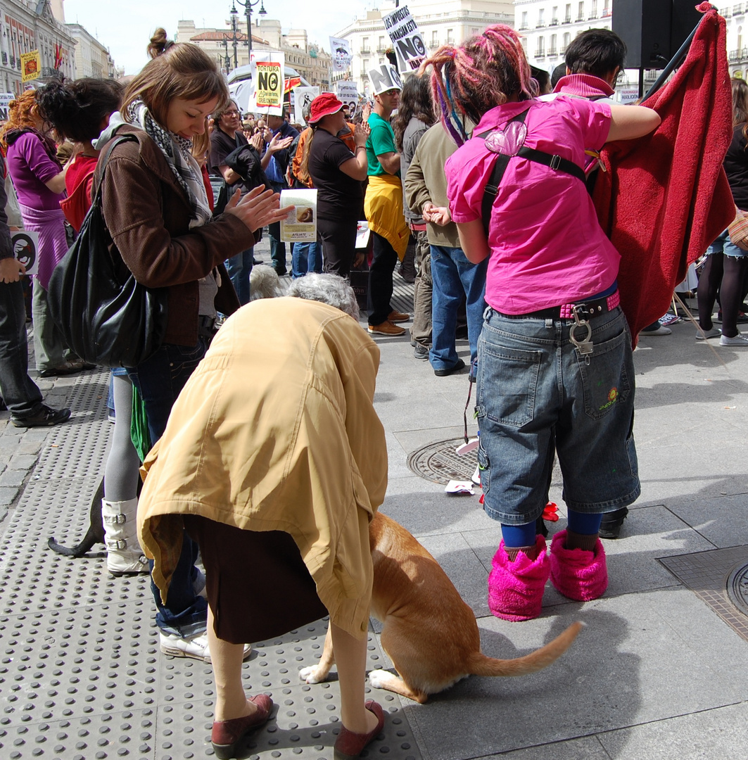 SEÑORA SALUDANDO A UN PERRO