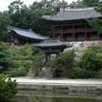 Seoul - Changdeokgung, Biwon (Secret Garden)