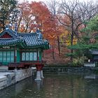 SEOUL Secret Garden 1