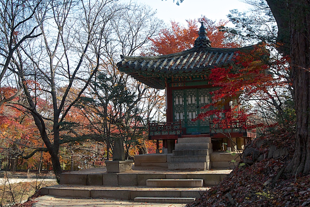 SEOUL Secret Garden 5