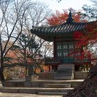 SEOUL Secret Garden 5