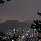 SeoulShadow