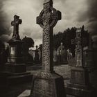 Sepia Crosses (Glasnevin)