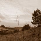 Sepia Leuchtturm