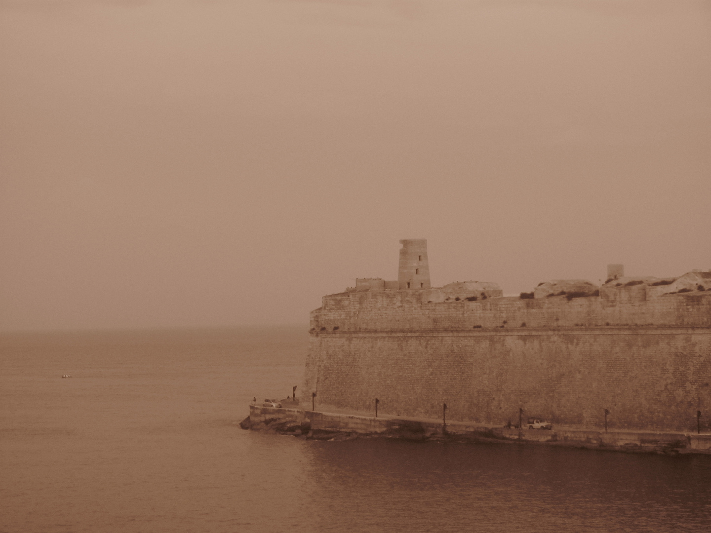 sepia valletta