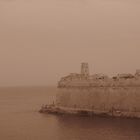 sepia valletta